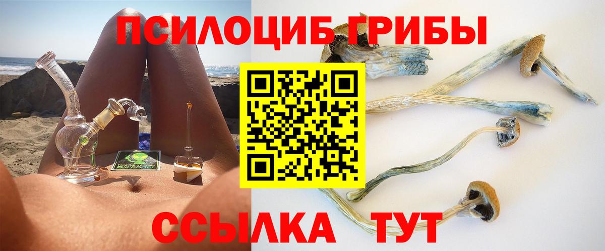 Киреевск  Псилоцибиновые грибы Magic Shrooms  Псилоцибиновые грибы мухоморы  Вход с VPN 